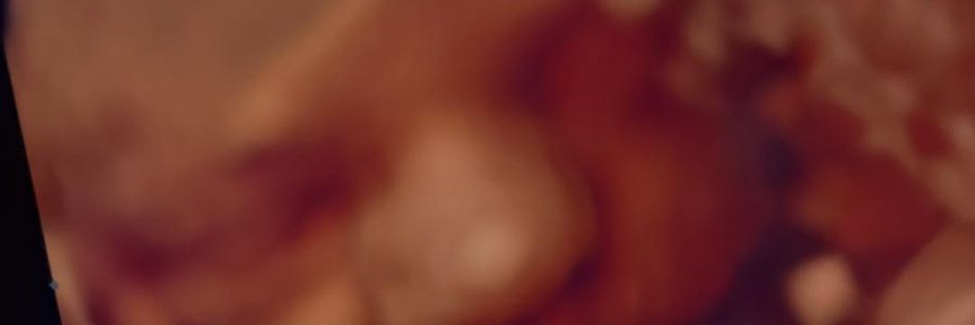 albertinhozyzz's profile banner image