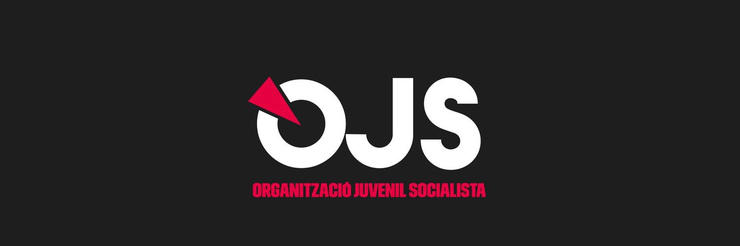 Organització Juvenil Socialista del País Valencià's banner