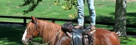 MR - Michael Robertson banner