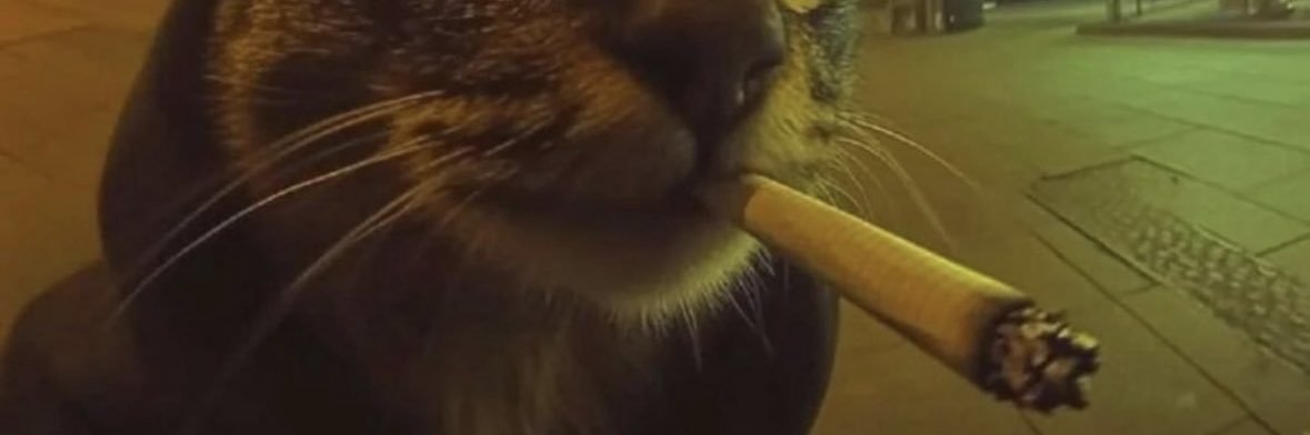 H banner