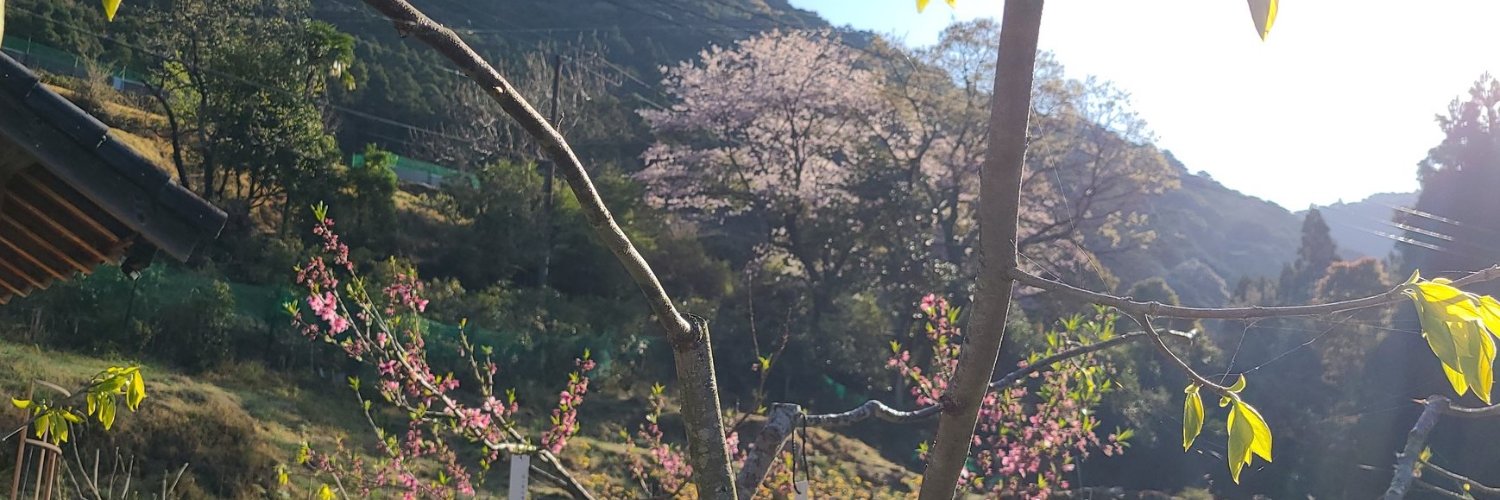 nankitakinohai's profile banner image