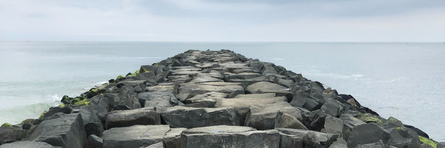 Robin E. Field banner