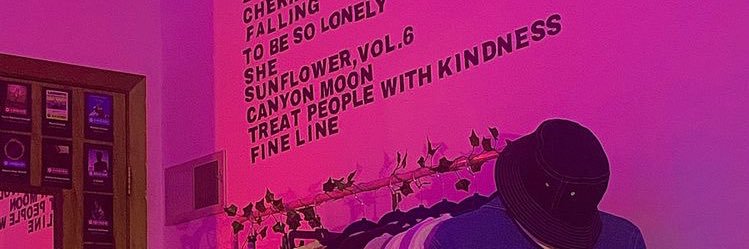 punpunns's profile banner image