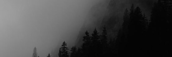 joni_geraldi's profile banner image