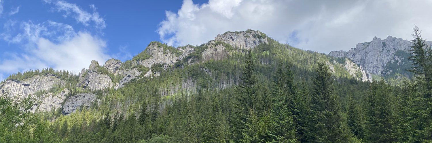 Vivita Dzērve banner