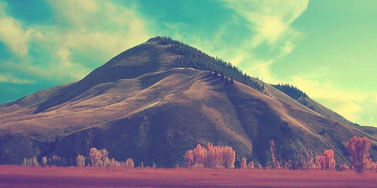 metelchenko's profile banner image