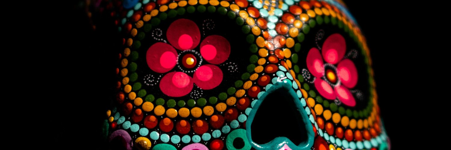 CAMELICE México banner