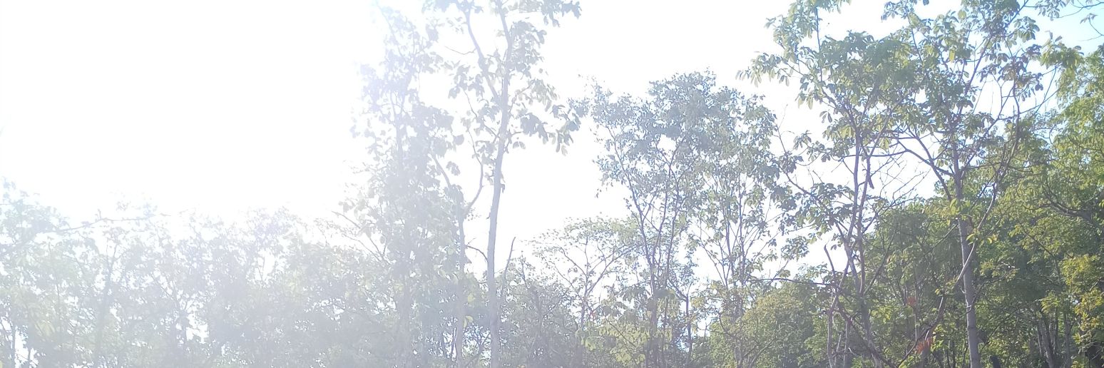 Baitong banner