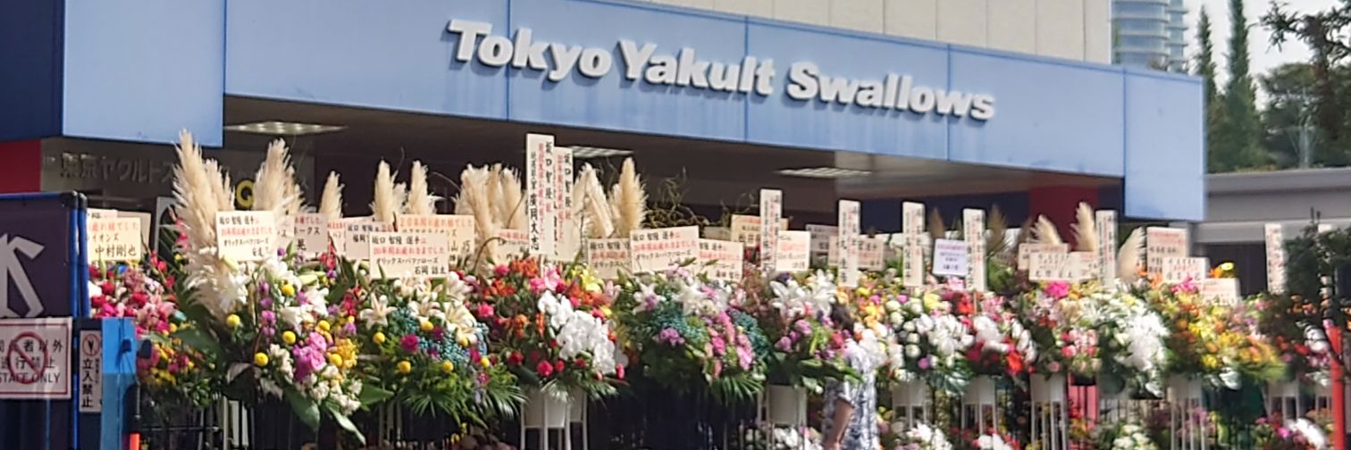 satoka_ohtaka's profile banner image
