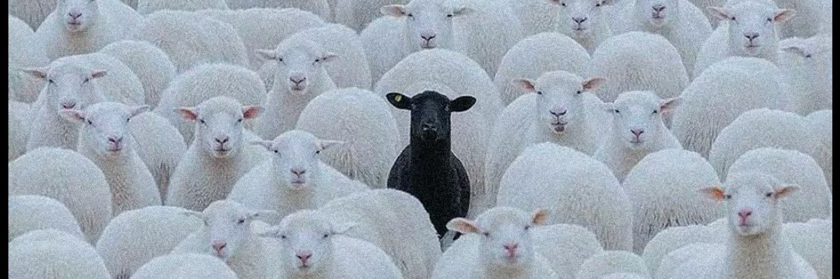 deleted f* acct banner