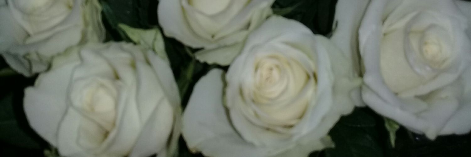 KEMO_KAN's profile banner image
