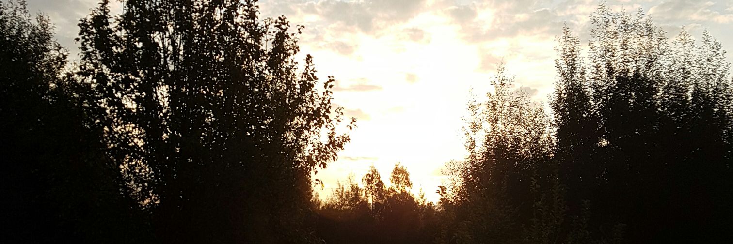 Alejandroleriss's profile banner image