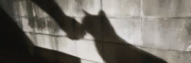 speater's profile banner image