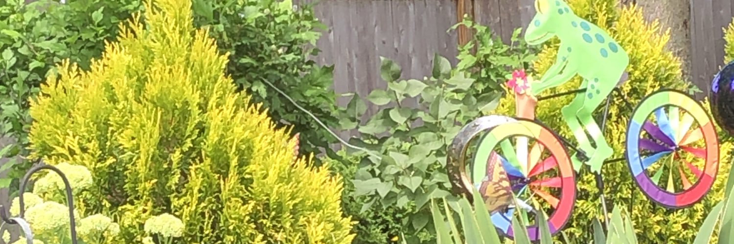 t Fisher banner