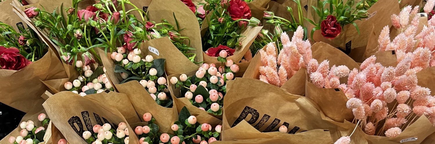 ファッジの飼い主🇩🇪 banner