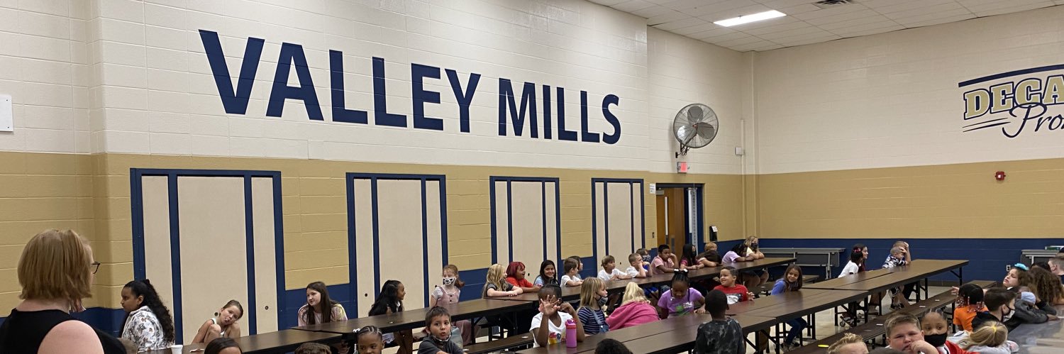Valley Mills banner