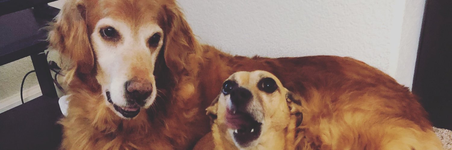 qweermudgeon's profile banner image