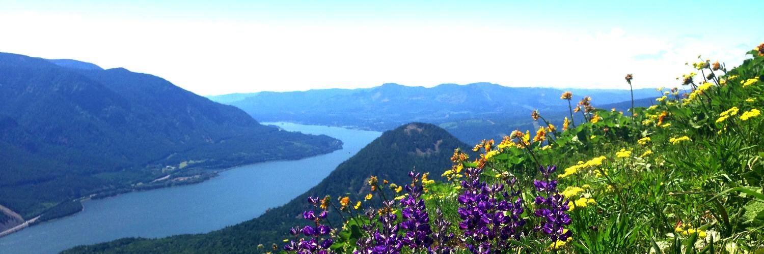 susanwarford's profile banner image