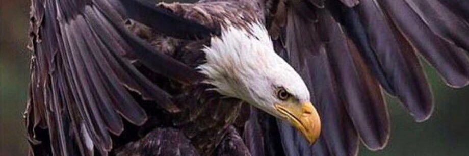 MUSTAFA_K_ASLAN's profile banner image