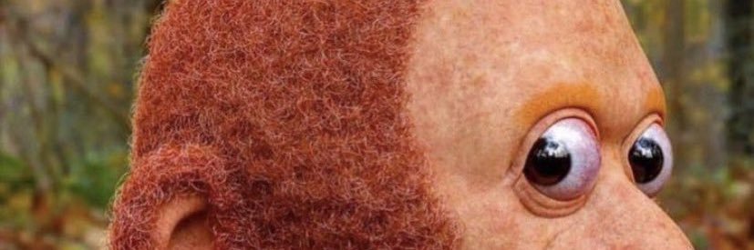 King T banner