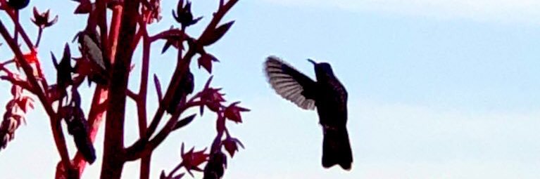 FerciRaRe's profile banner image