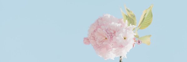 SigmundCowper Profile Banner