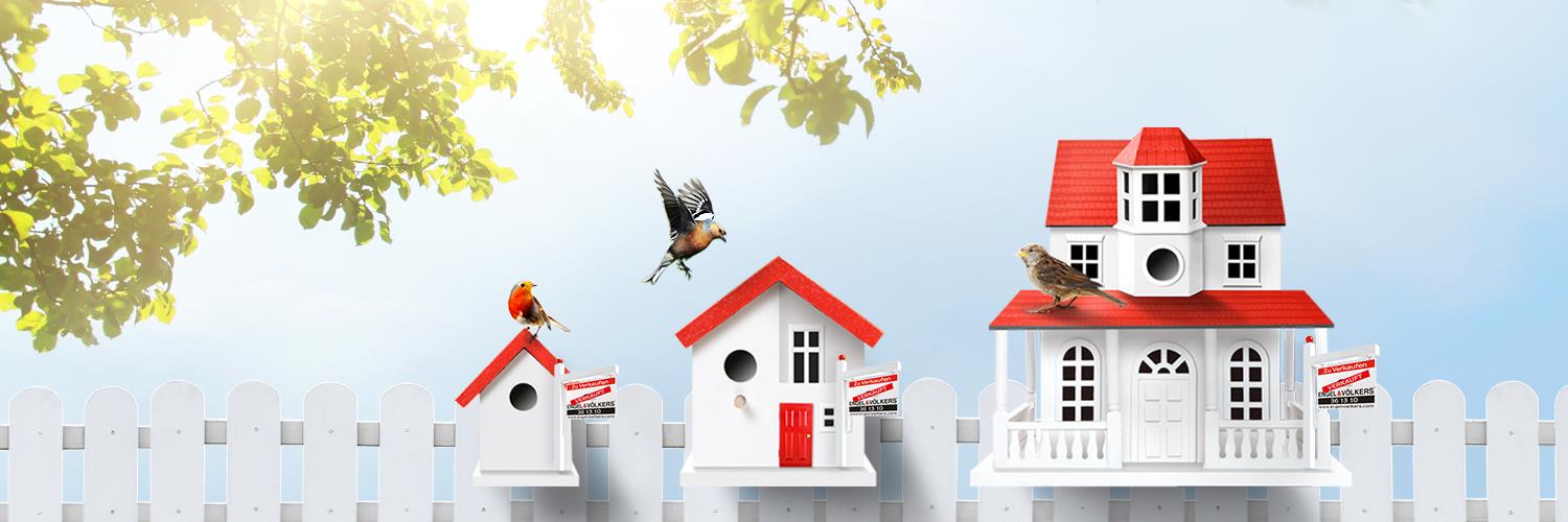 EVBonn's profile banner image