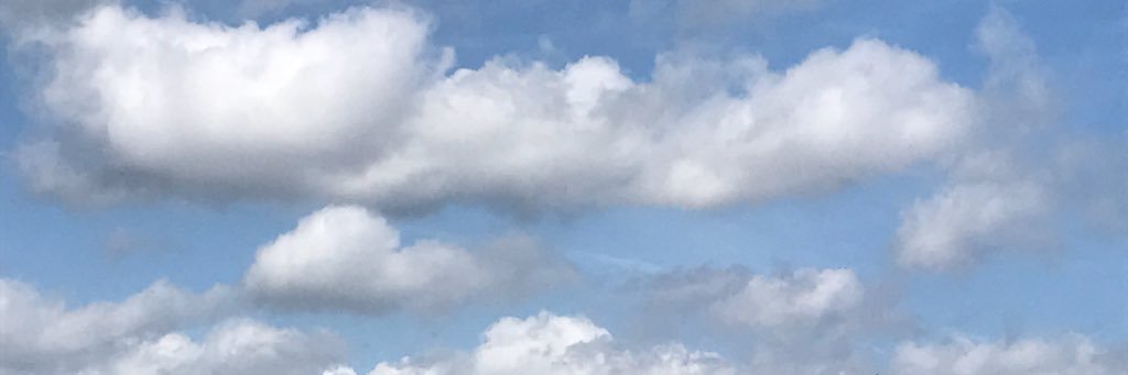 thecuriousgal_'s profile banner image