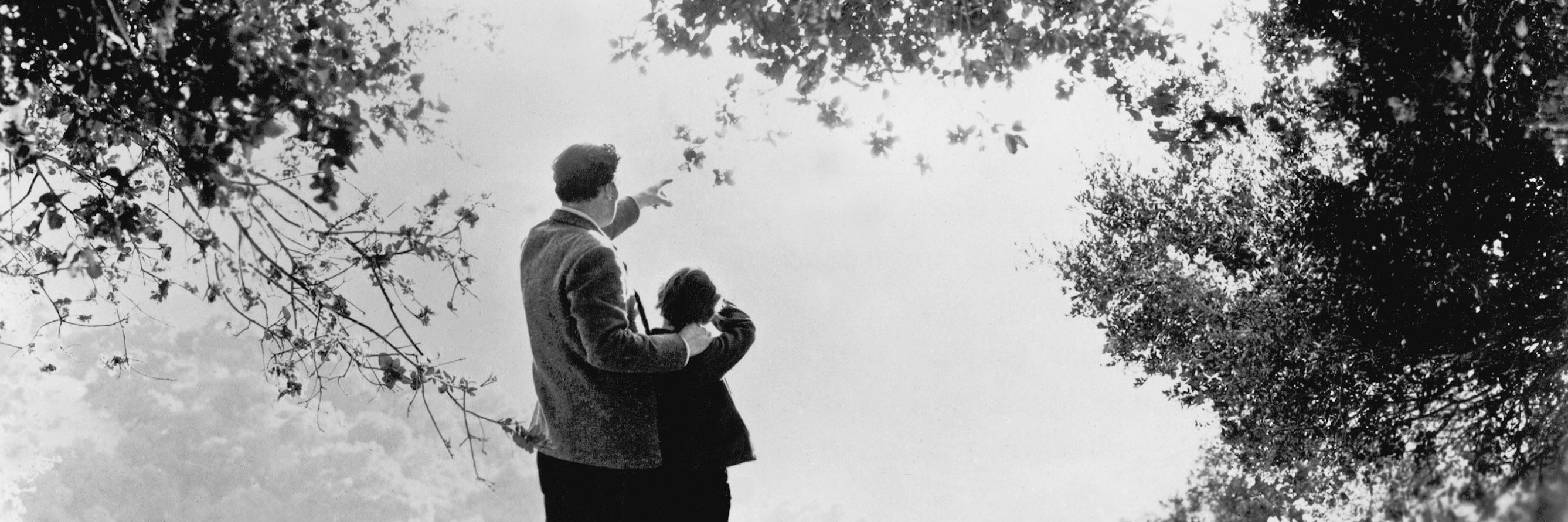 Daniel Kasman banner