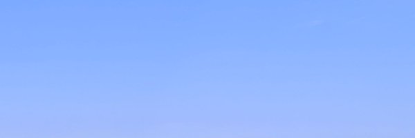 moon314231 Profile Banner