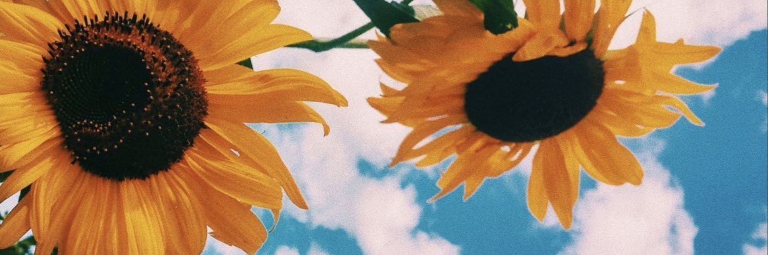 sevilaykocer's profile banner image