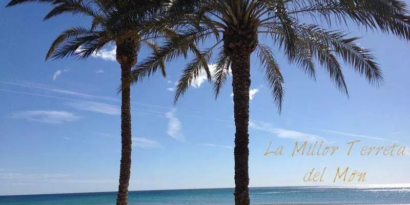 PacoSanchez1882's profile banner image