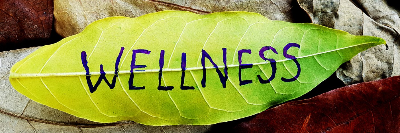WECDSBWellness banner