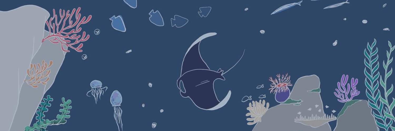 0xmanash's profile banner image