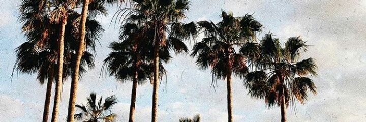 Anitirititraun's profile banner image