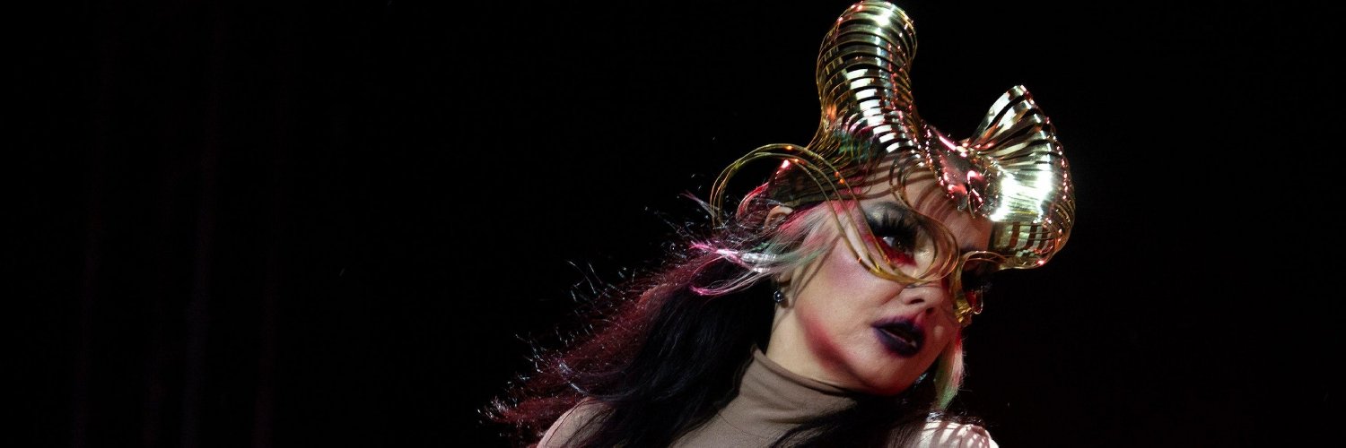 Bjorka banner
