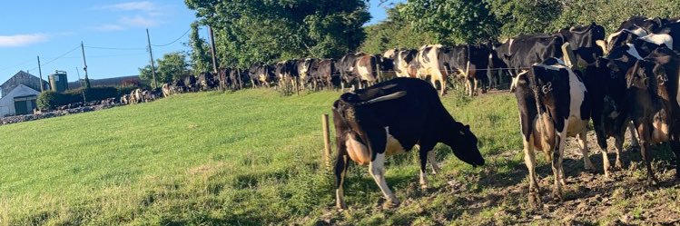 Kevin O Donovan banner