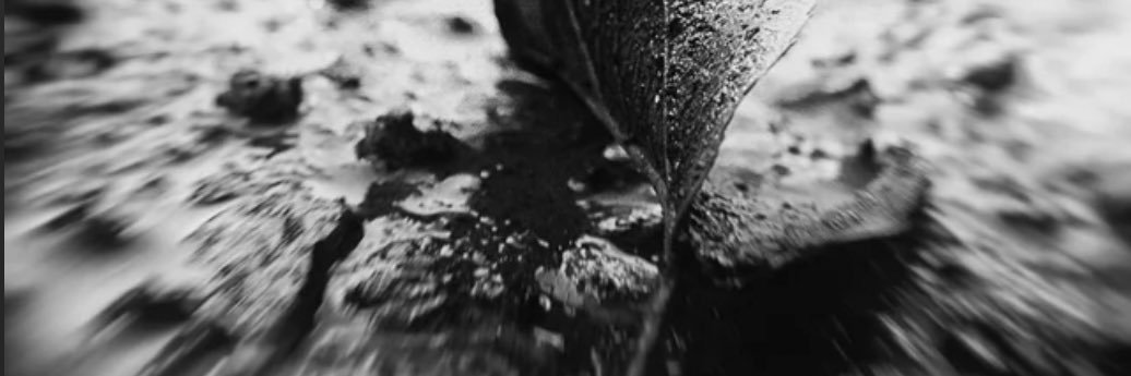 Drifting In Silence banner