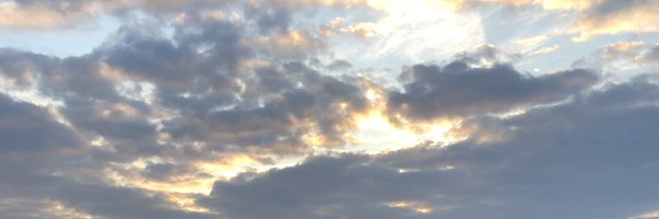 FlorkinAL Profile Banner