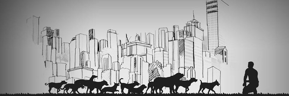 Des_ordenes's profile banner image