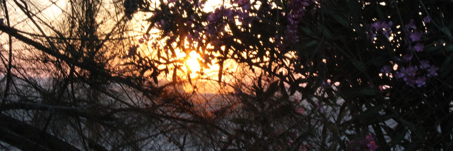mrui_'s profile banner image