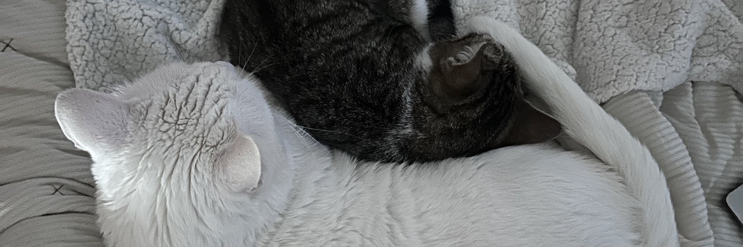sollborgo's profile banner image