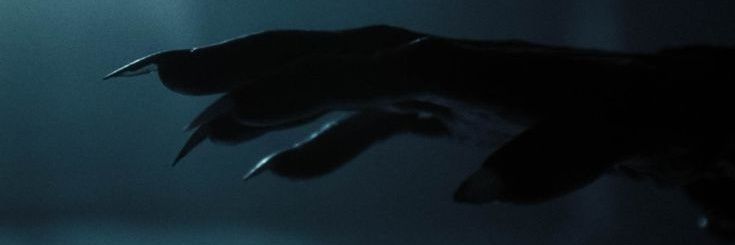 𝐿𝑎𝑟𝑎 ♱ banner