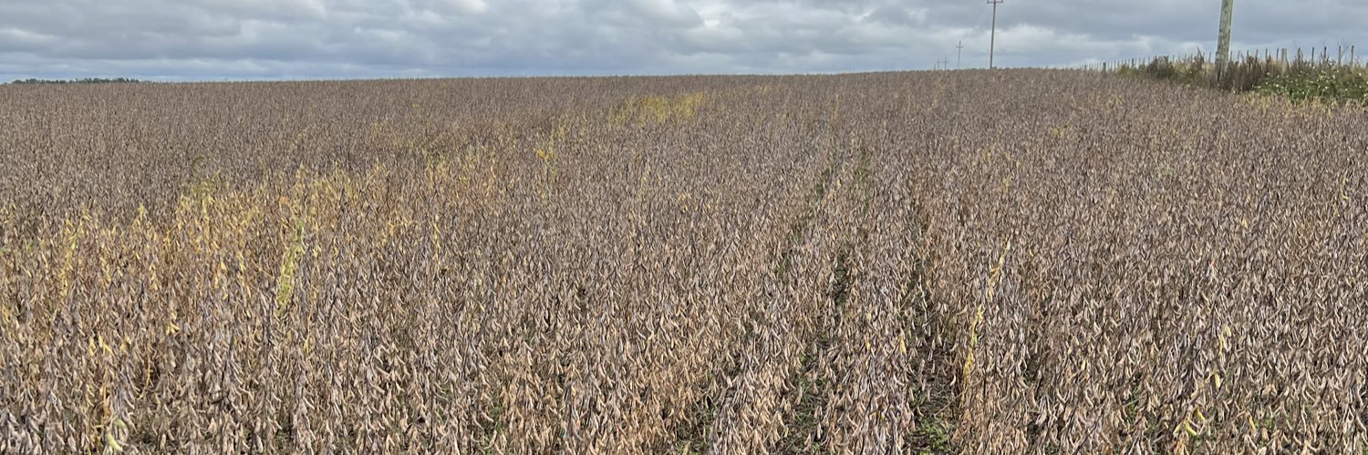 Hernan Gonzalez banner