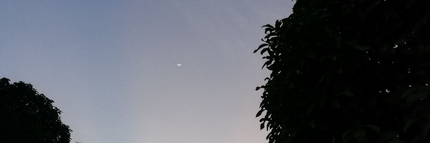 laurajleall's profile banner image