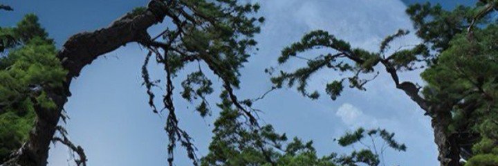 Piotrekvel's profile banner image