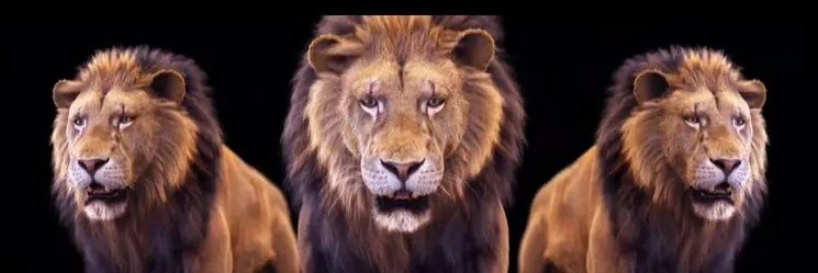 King Level Services banner