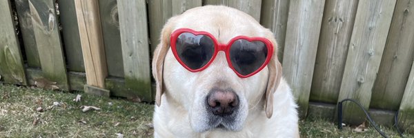 LinandDaisy Profile Banner