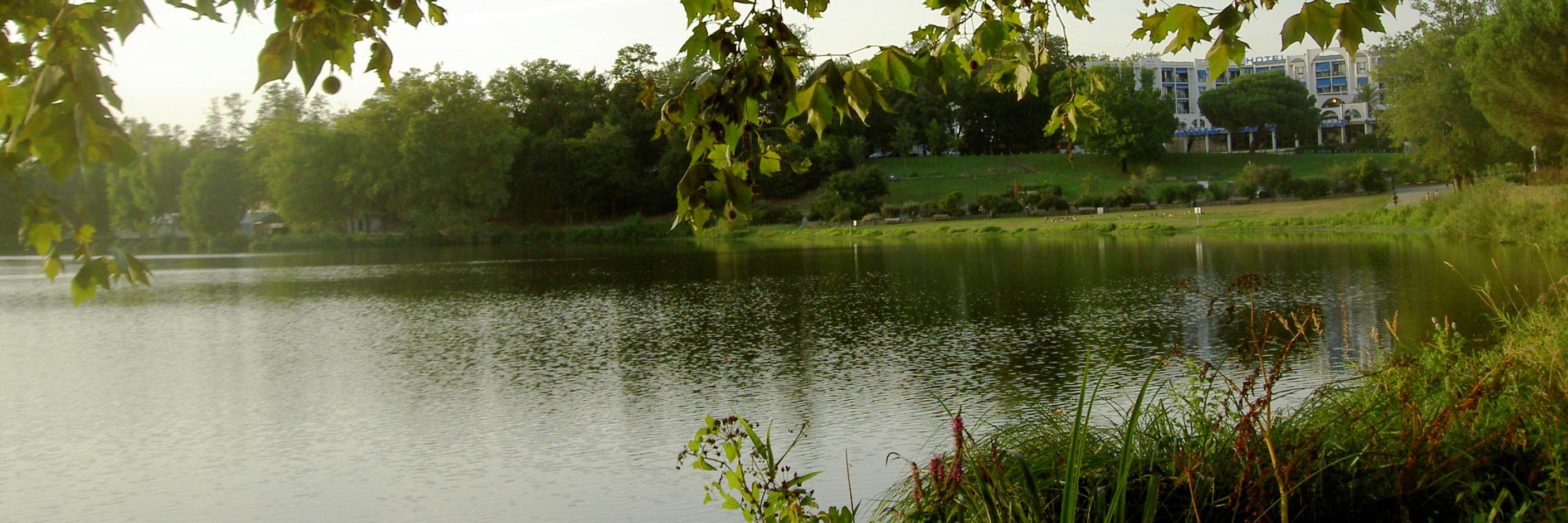 c_cmd's profile banner image