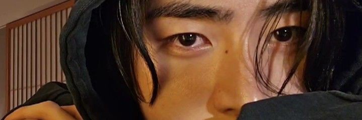 dan banner